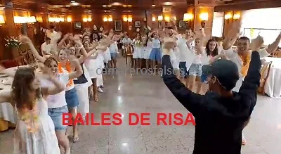 Animación para boda